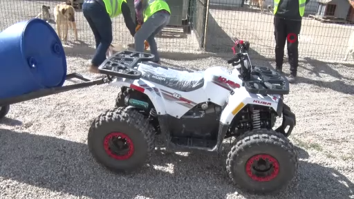 ‘Köpek Velisi’ hesabı ile tanınan şahsın son 4 yılda 9 daire ve 2 depo satın aldığı iddiası!