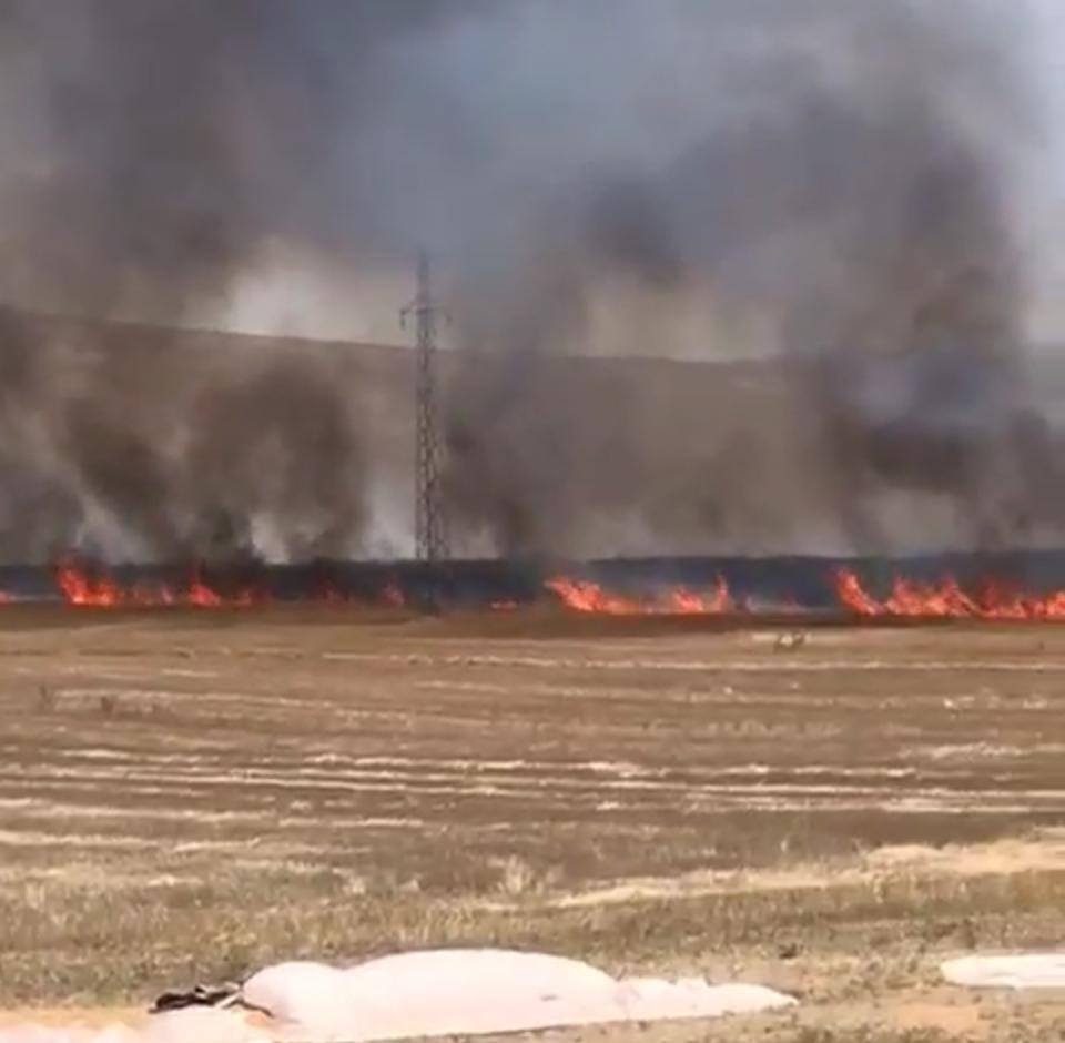 Çıkan yangın 100 dekarlık  tarım arazisini  küle döndürdü