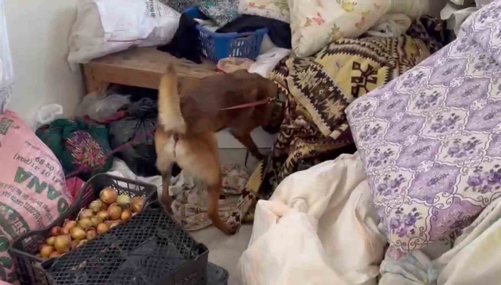 7 kilo esrar yakalatan şüpheliden ilginç savunma