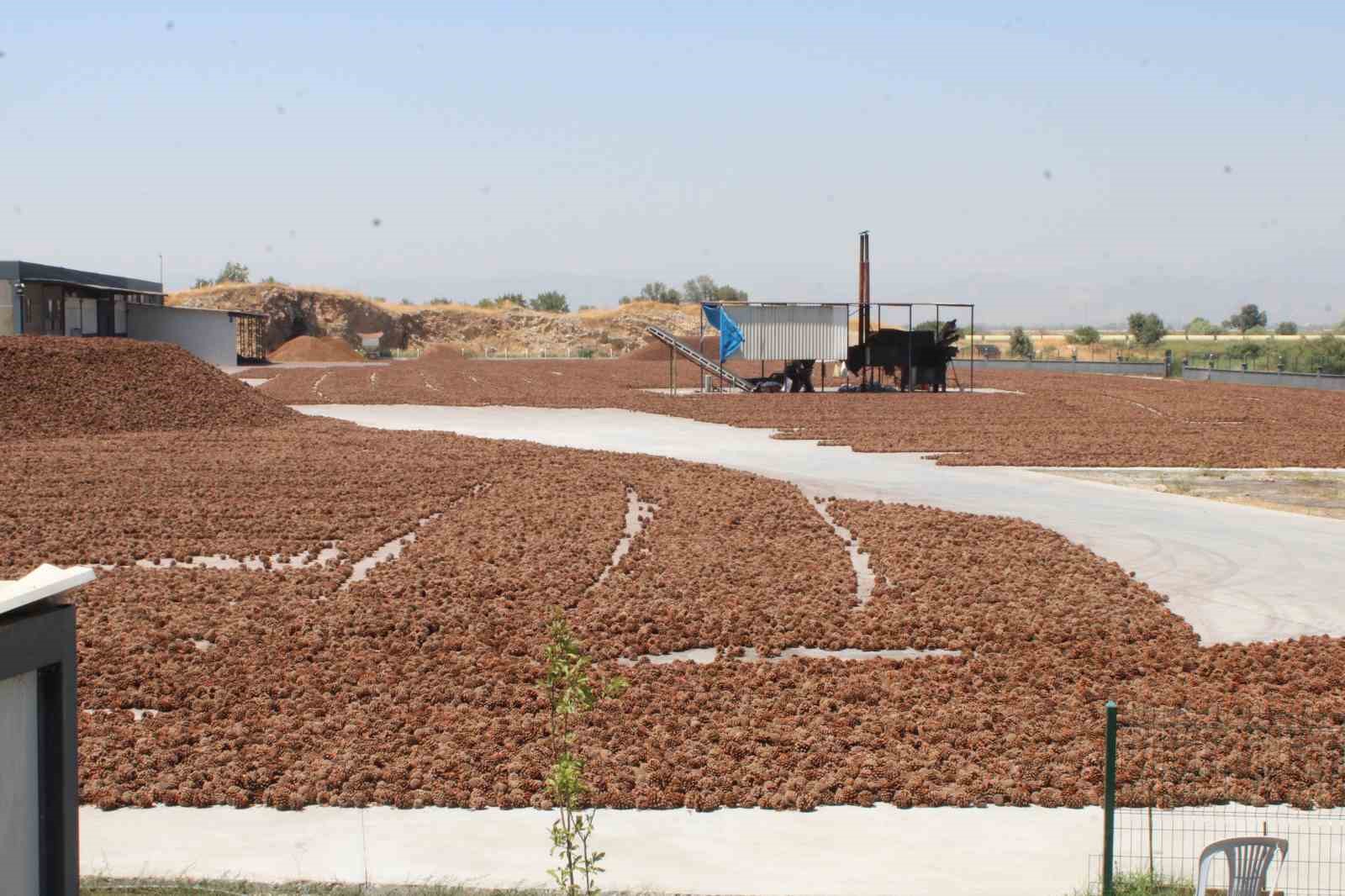 Sıcaklık ekonomiye dönüştürülüyor