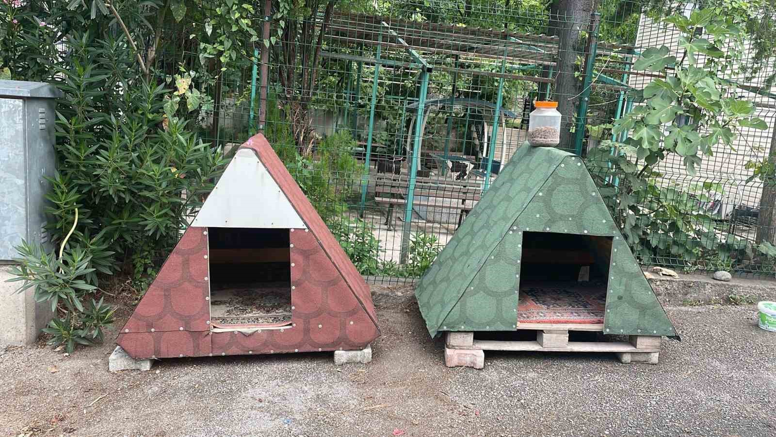 Polislerin sahip çıktığı yavru kedi, merkezin maskotu oldu