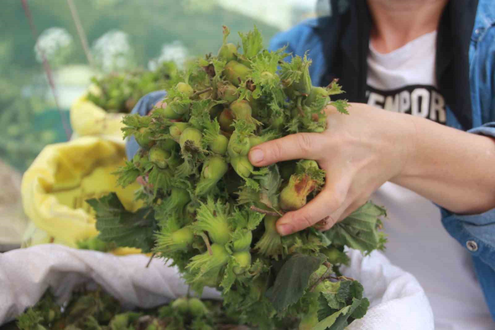 Taze fındık tezgahlarda: Kilosu 100 TL