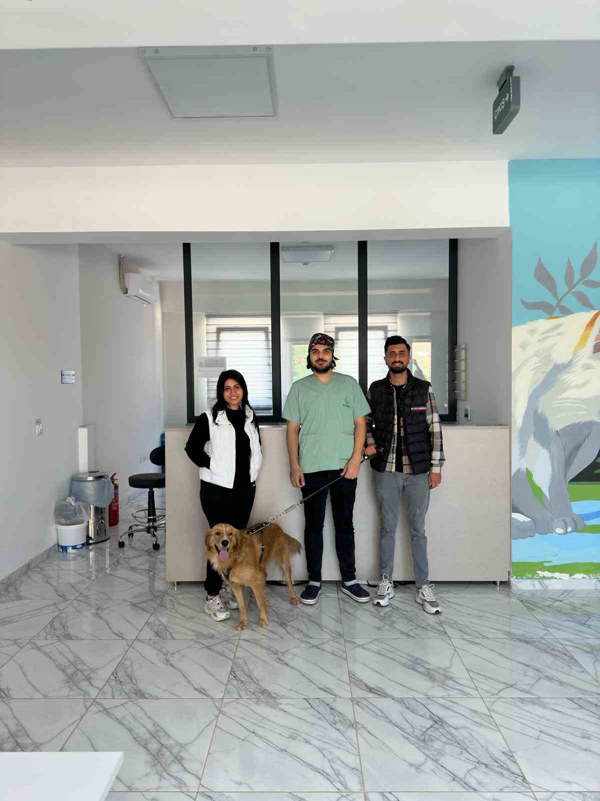 Kocaeli’de 70 sokak hayvanı yeni yuvalarına kavuştu