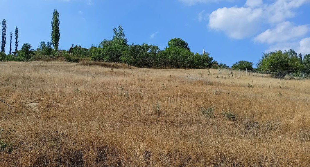 Atıl haldeki verimli araziler ekonomiye kazandırılacak