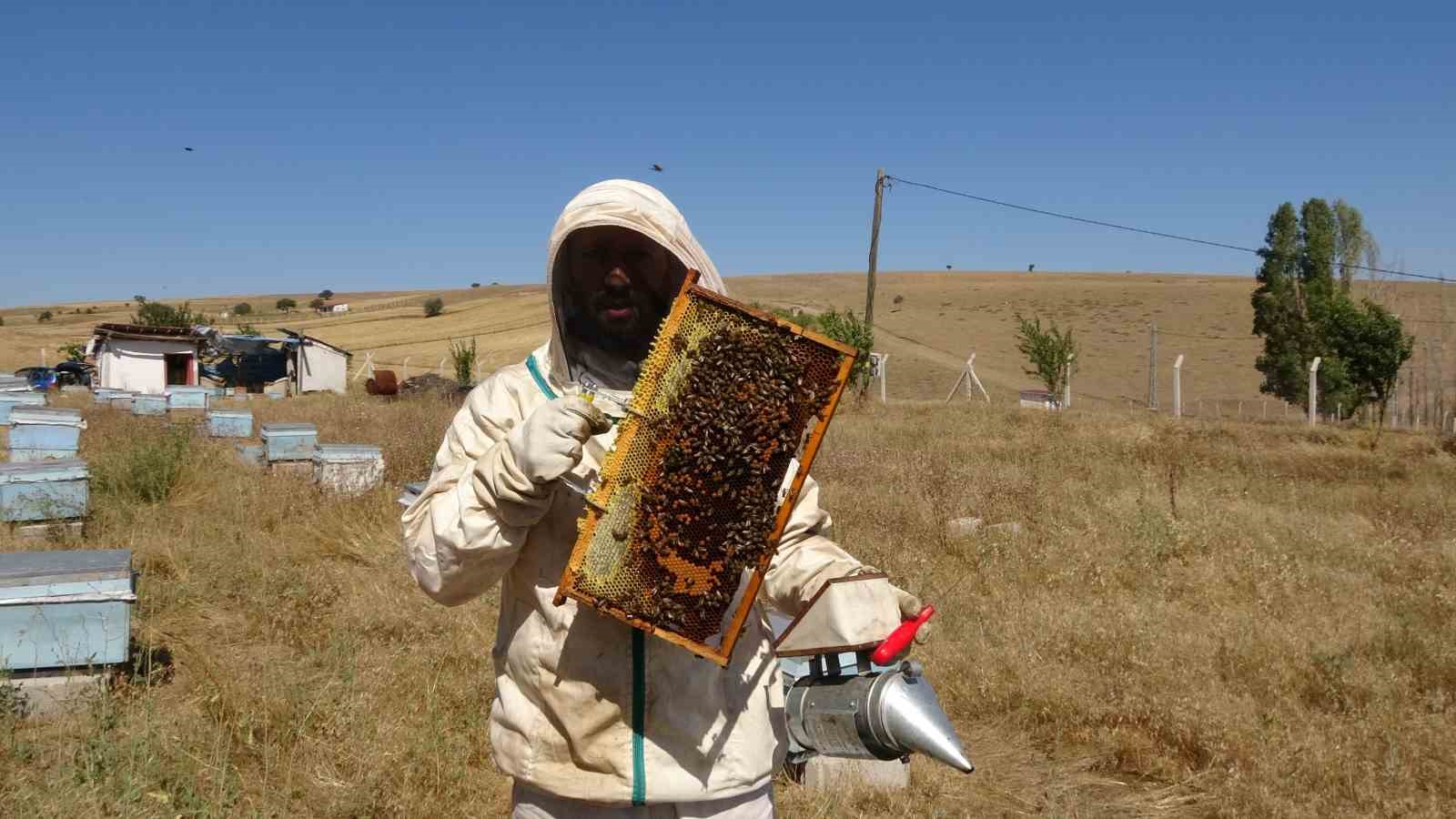 Bal hasadı bir ay erken başladı