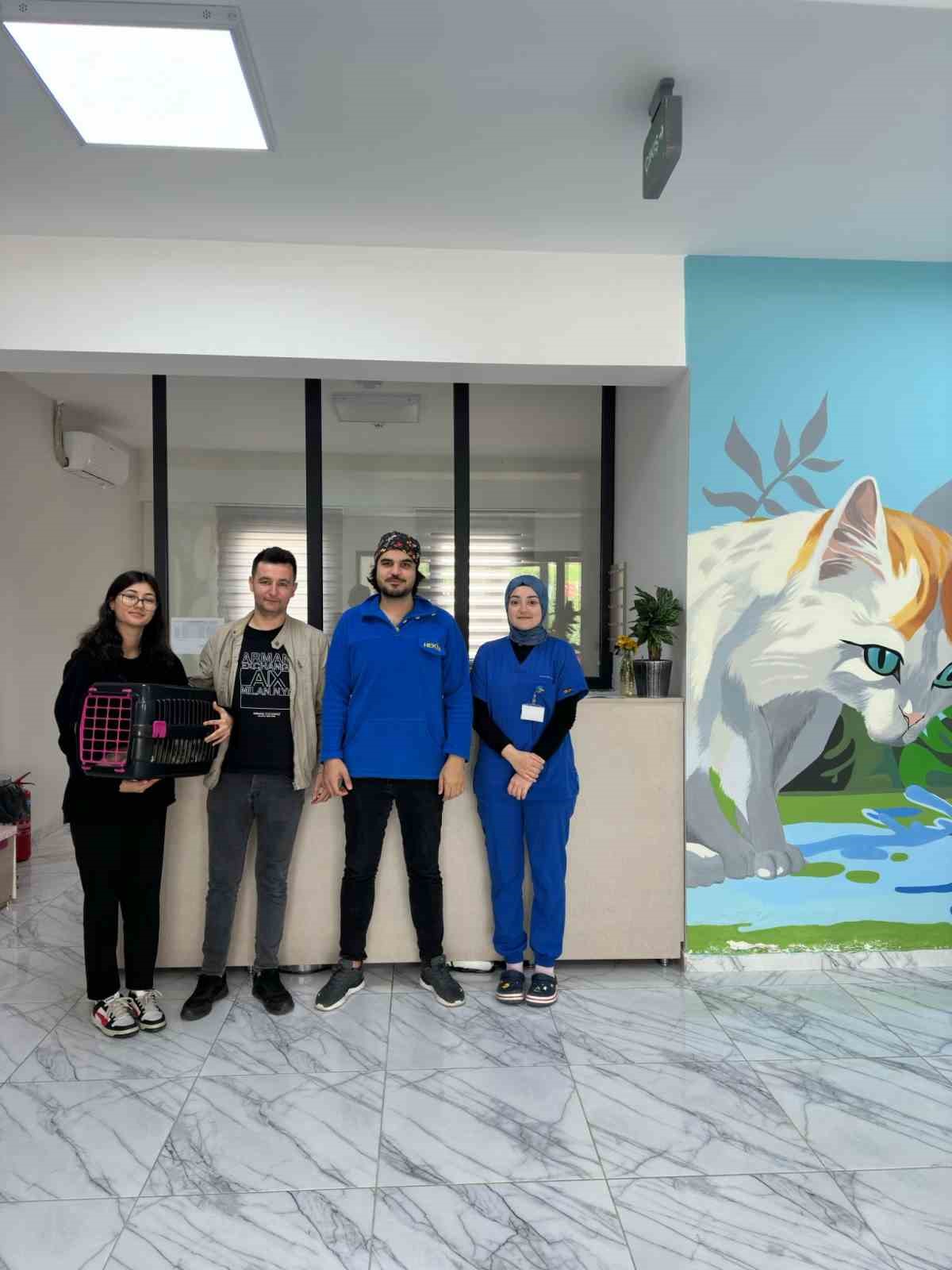Çayırova’da 70 sokak hayvanı yeni yuvalarına kavuştu