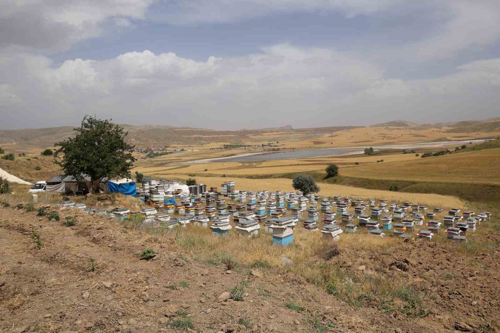 Yarım asırdır arıcılık yapan çift, 5 çocuk büyütüp evlendirdi