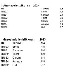 Orta Karadeniz’de en yüksek işsizlik oranı Samsun’da