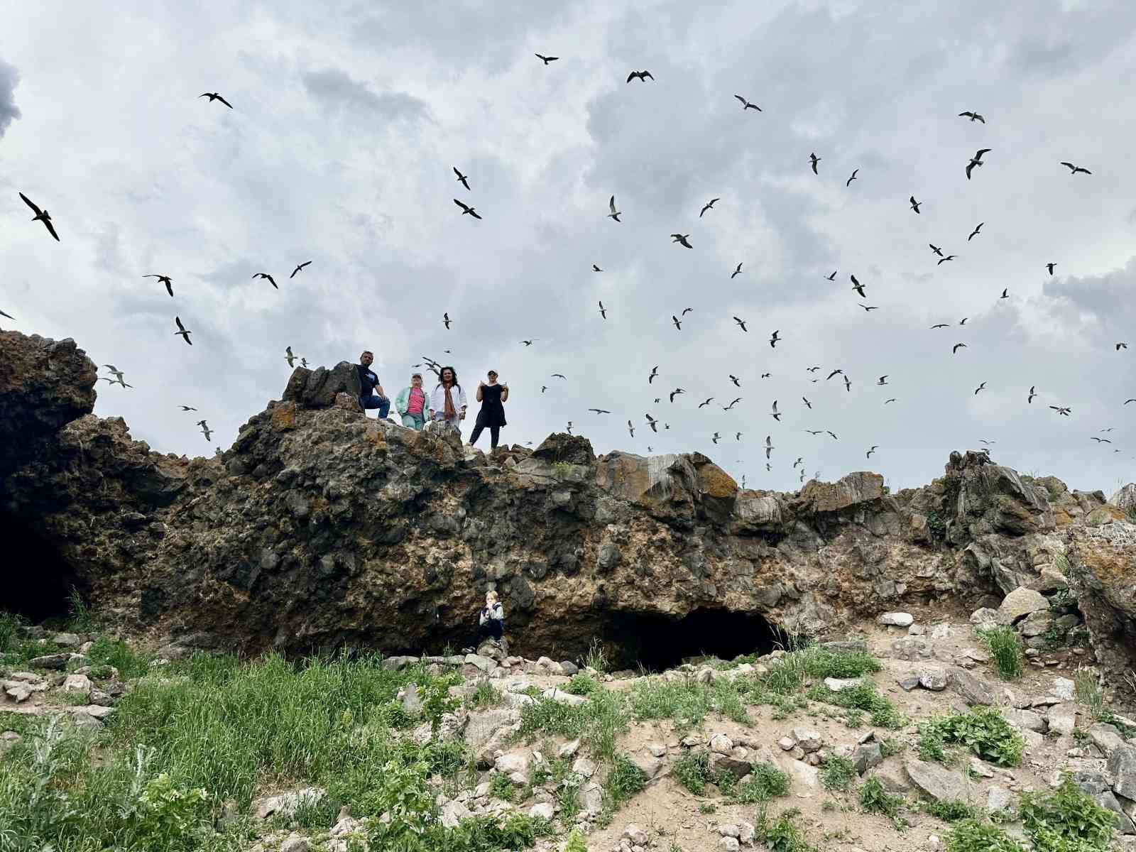 2 bin 241 rakımda yüzlerce kuşa ev sahipliği yapıyor