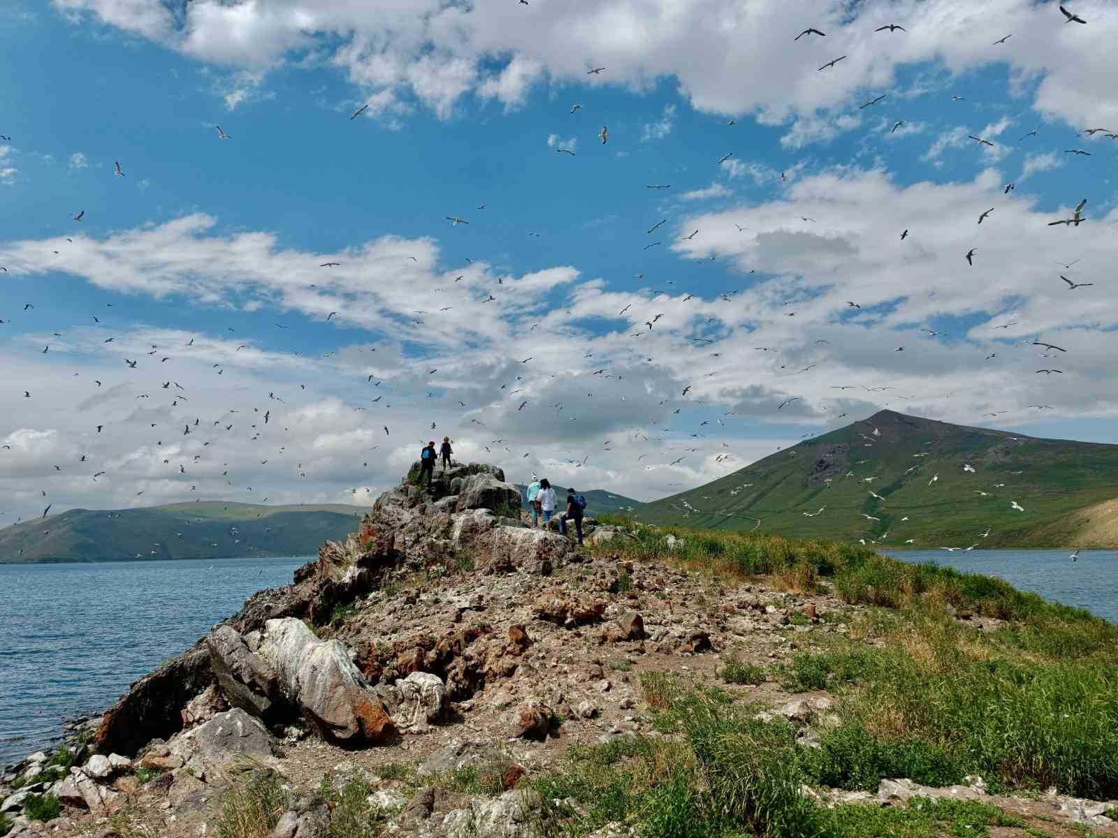 2 bin 241 rakımda yüzlerce kuşa ev sahipliği yapıyor