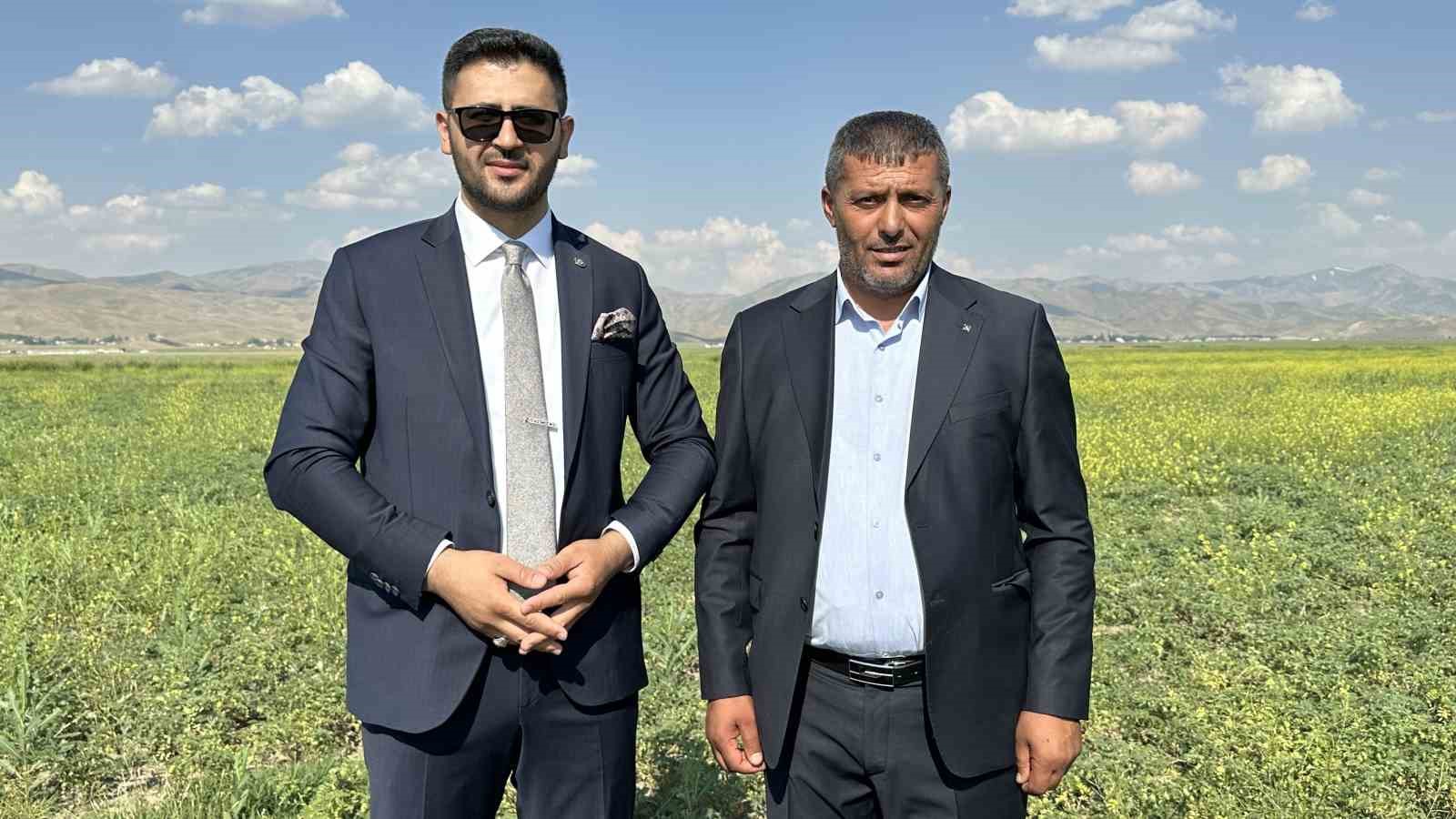 Yüksekova’da nohut bereketi