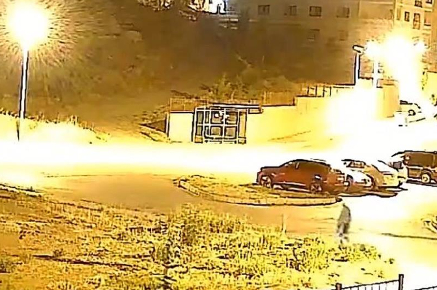 Ağacı söküp çaldılar