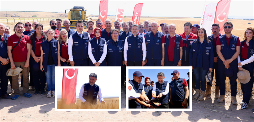 Bakan Yumaklı, yerli buğday hasadına katıldı