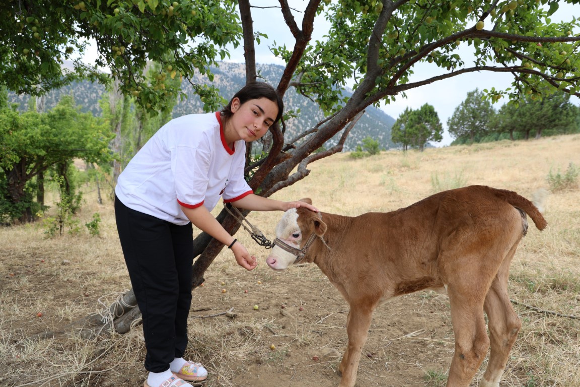 Çobanlık yaparken ders çalışan Zeynep LGS’de ilçe birincisi oldu