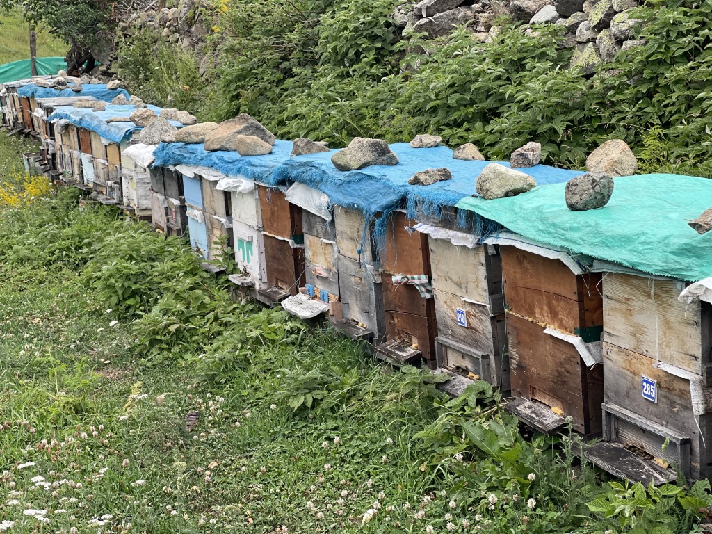 Dünyaca ünlü Anzer Balı bu yıl  4 bin TL