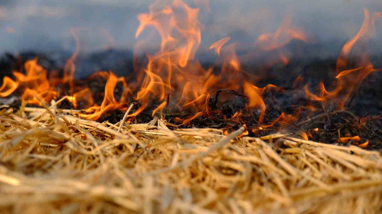 Güzel haber: Milli ekonomiyi ve sofrayı fazla etkilemeyecek