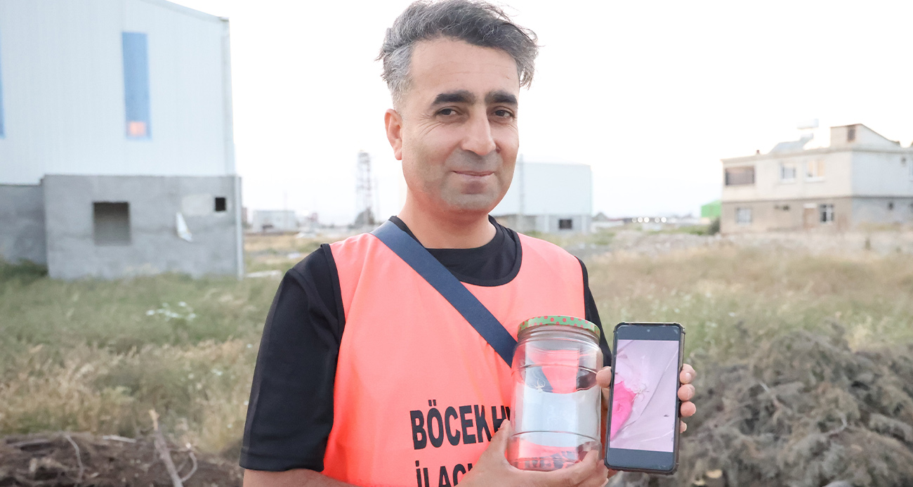 İnsan yüzlü örümceği kavanozda besliyor