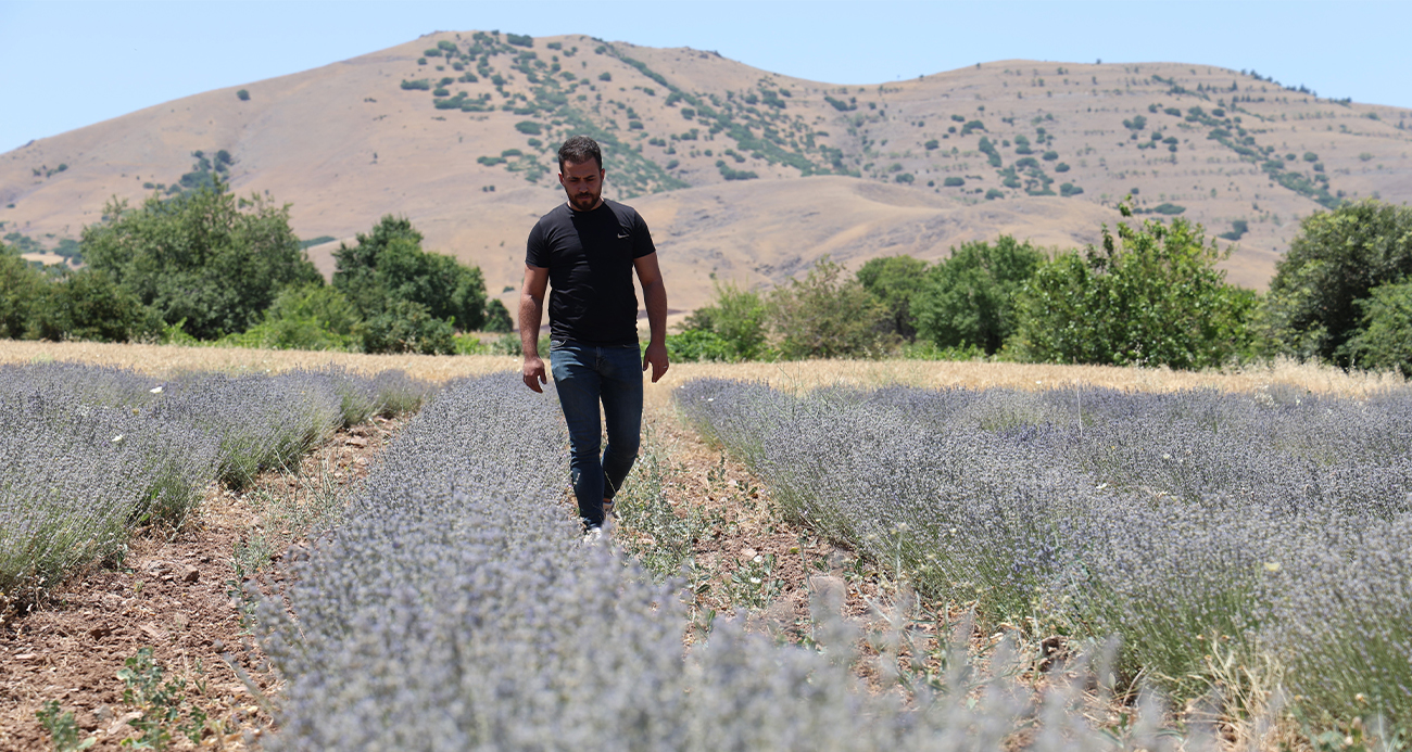 İnternette görüp başladılar, üretici oldular
