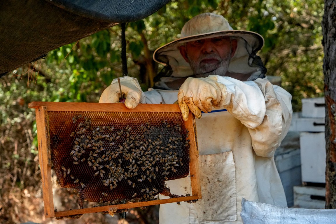 Oğlunun ölümünden sonra arıcılık mesleğiyle hayata tutundu