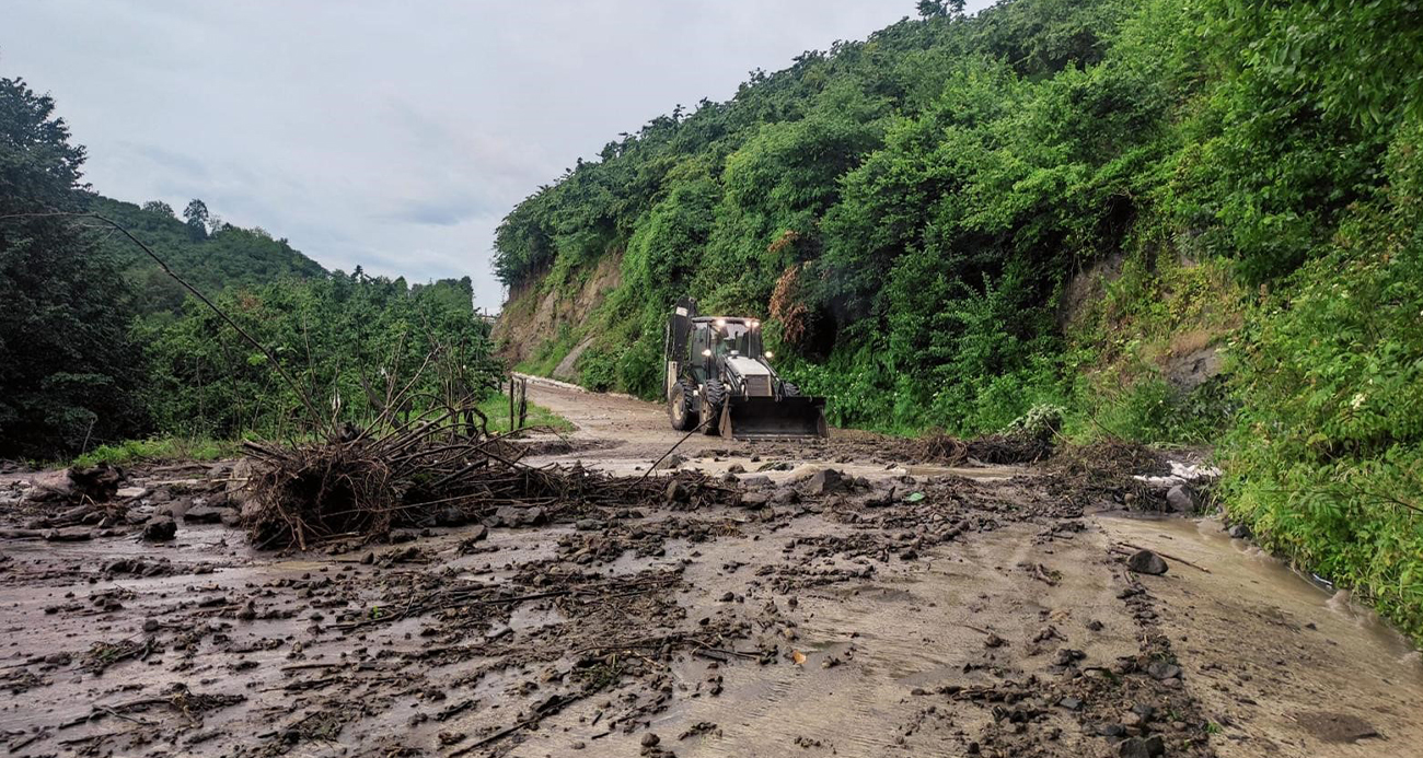Ordu’yu sel aldı: Evler sular altında kaldı, tarım arazileri zarar gördü