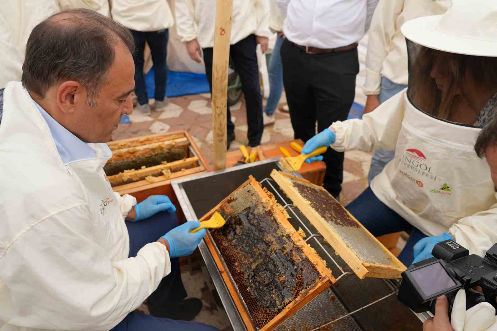 Bingöl’de bal hasadı zamanı