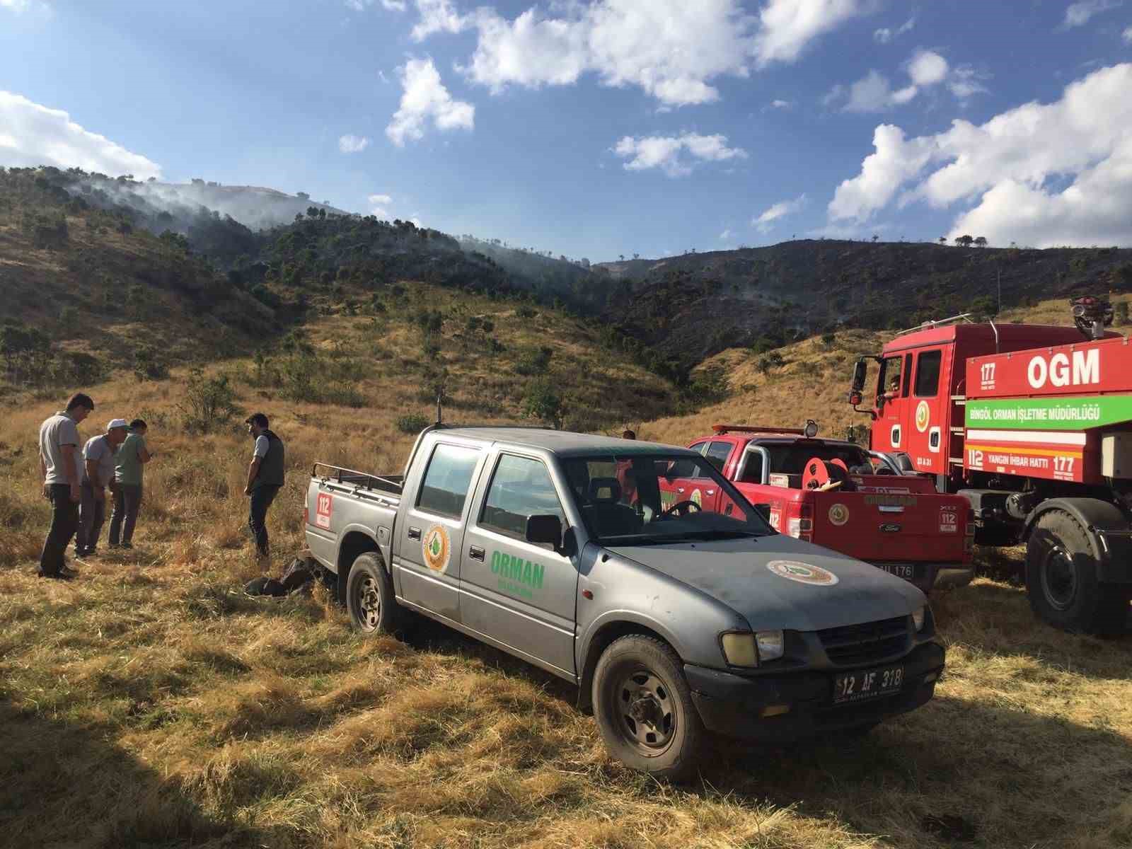 Bingöl’de ormanlık ve kırsal alanlarda çıkan yangınlara itfaiye müdahale etti