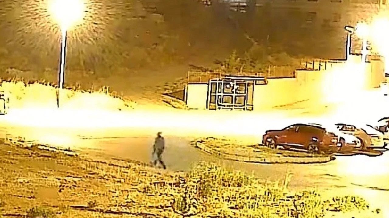 Buda oldu: Çam ağacını yerinden söküp, çaldılar