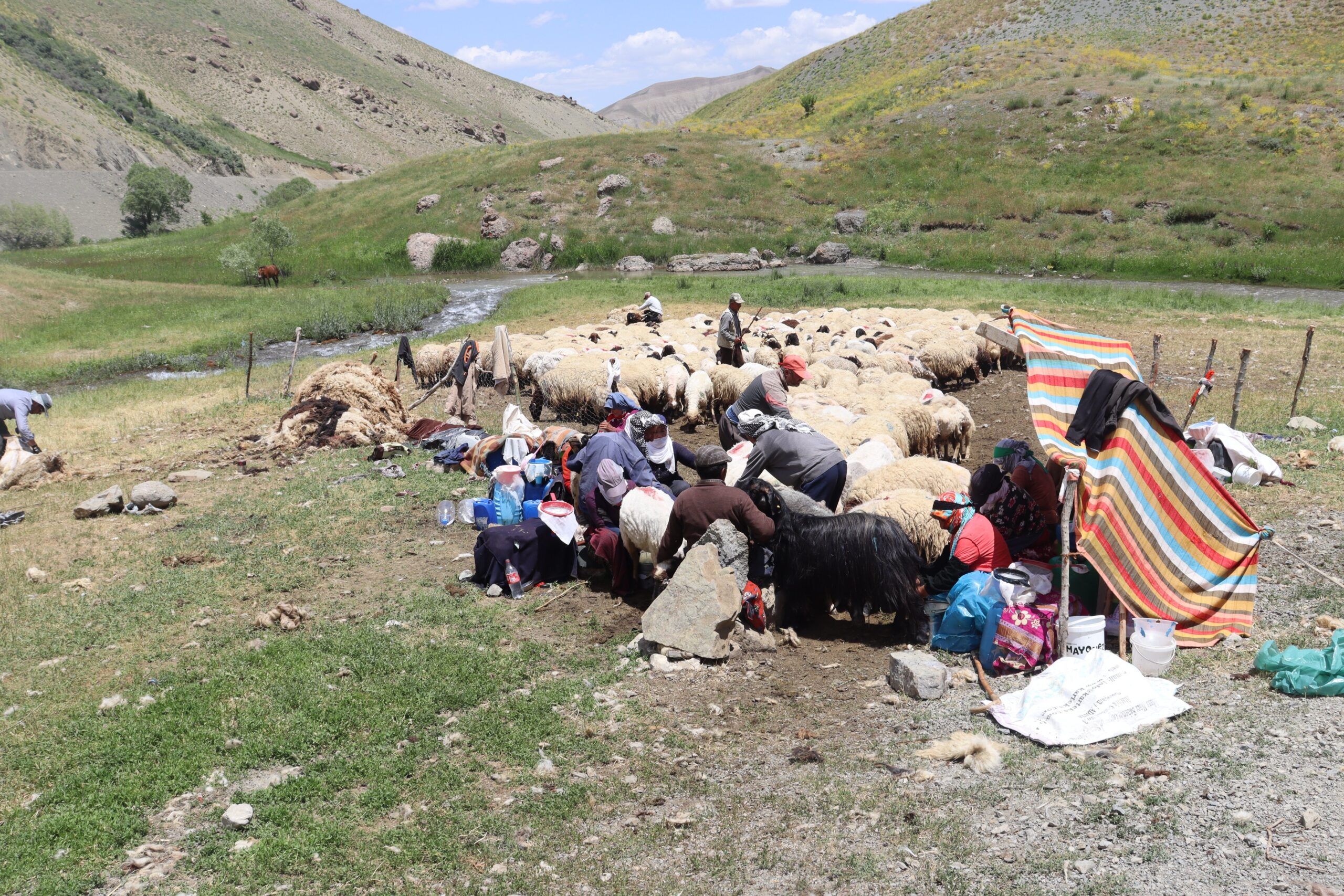 Van Tarım ve Orman İl Müdürlüğünden Gürpınar’da denetleme çalışması