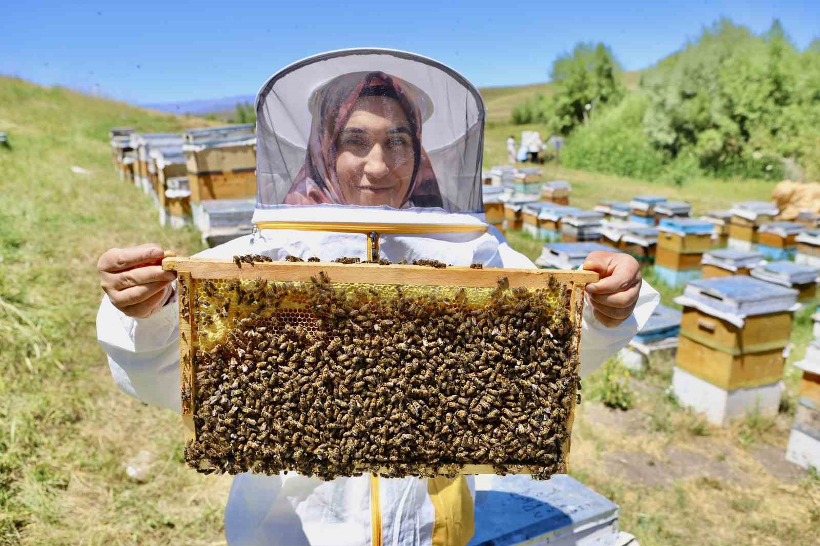 Devlet desteğiyle arıcılığa başladı, yıl içinde tonlarca verim aldı