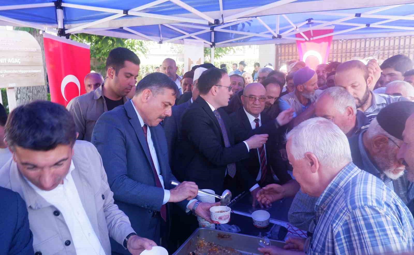 Aşure dağıtımında izdiham