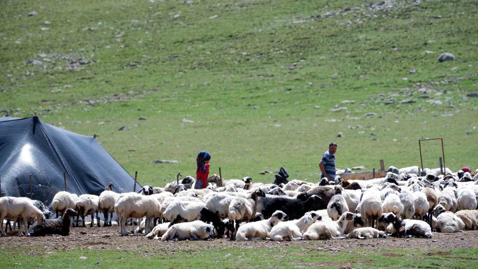 Erzurum’da 3 bin rakımda 3 yüz çadır kurulu