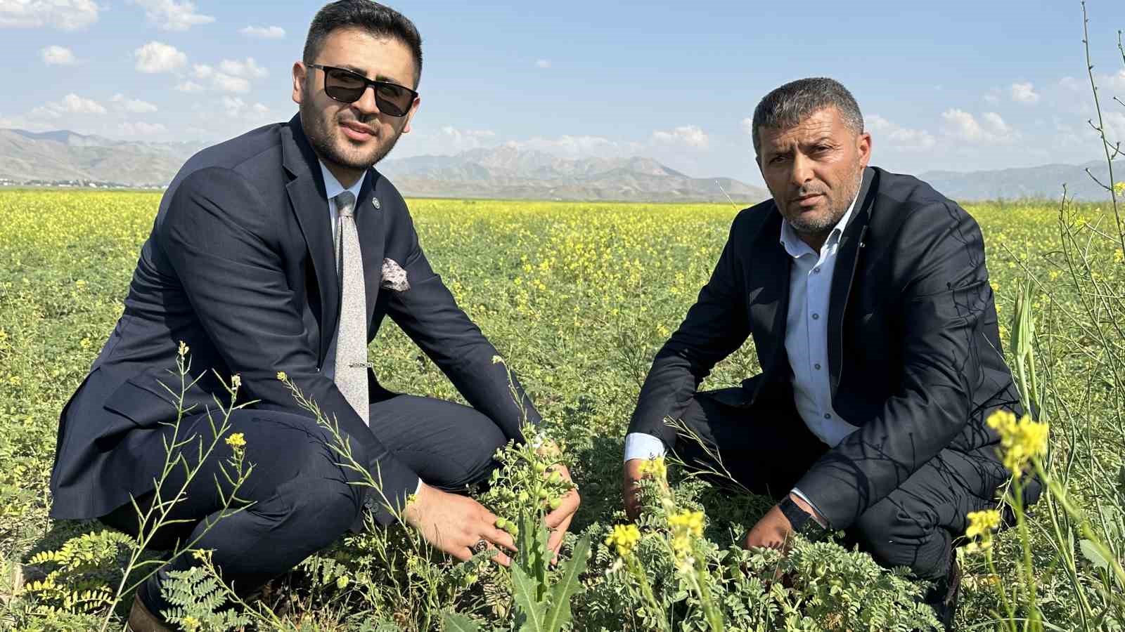 Hakkari’de nohut bereketi