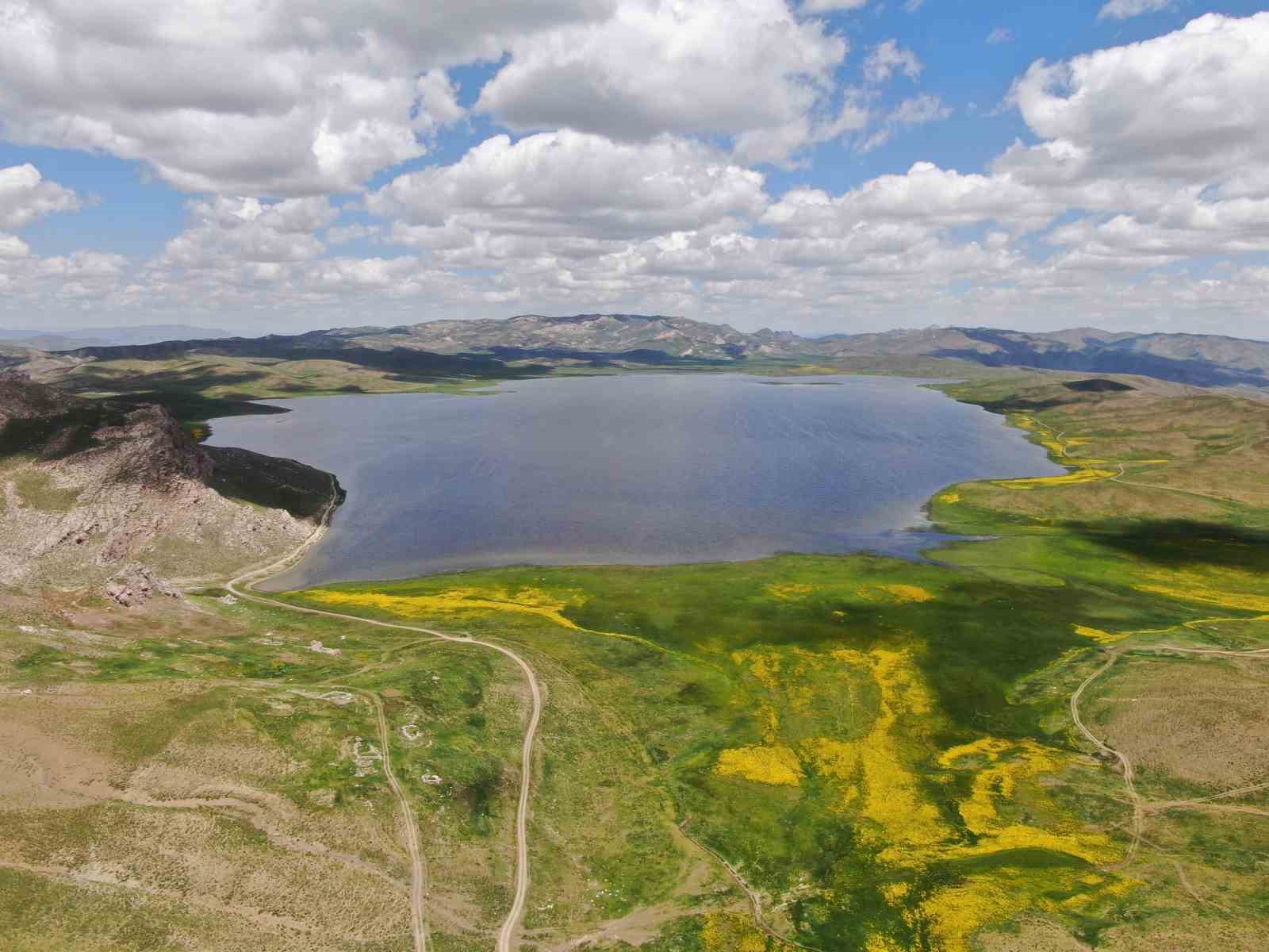 Keşiş Yaylası’nda açan çiçekler görenleri hayran bıtaktı