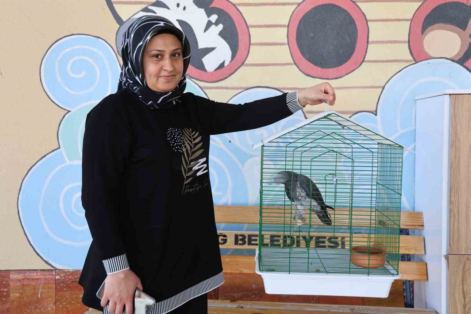 Papağanın çağrısı karşılıksız kalmadı