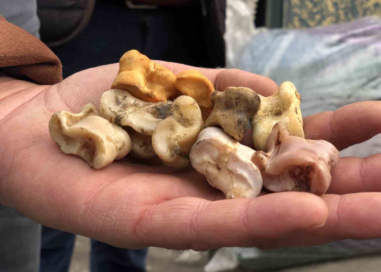 Unutulmaya yüz tutmuş ’aşık oyunu’ yeniden hayat buldu