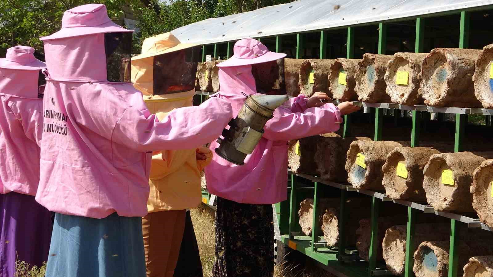 Van’da kadın arıcılara arılı kovan desteği