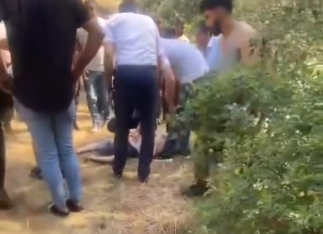 Van’da oğlunu kurtarmak isteyen baba canından oldu