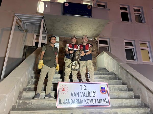 Van’da yaralı halde bulunan Kaya Kartalı tedavi altına alındı