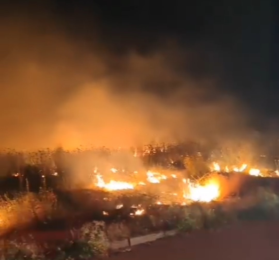 Van’ın 4 ayrı noktasında yangın meydana geldi