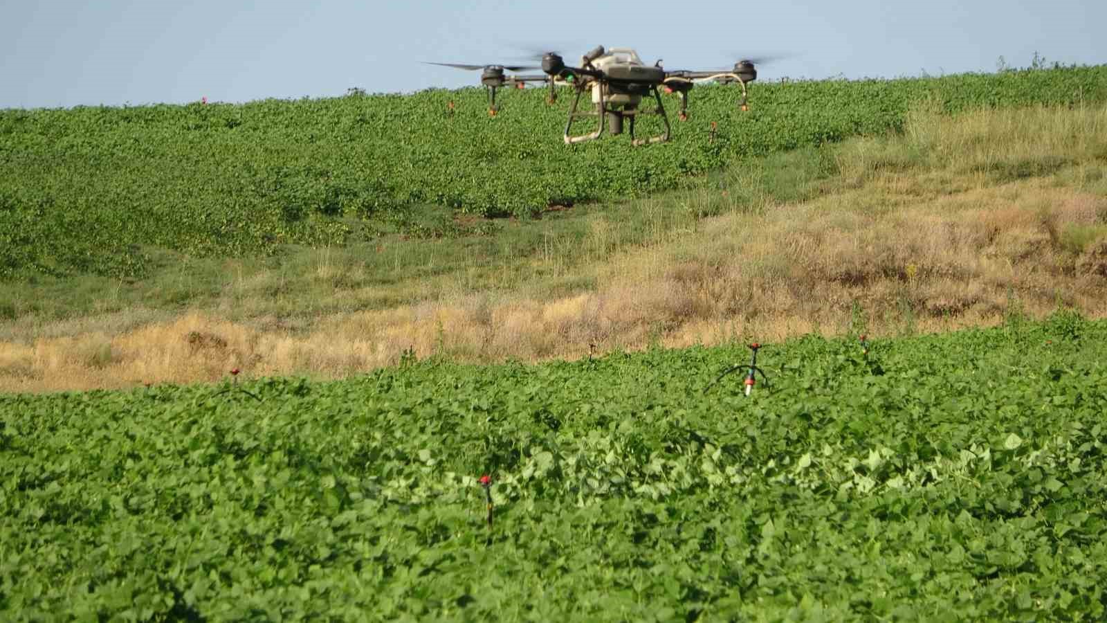 Bitlis’teki çiftçiler tasarruf için ilaçlamayı dronla yapıyor