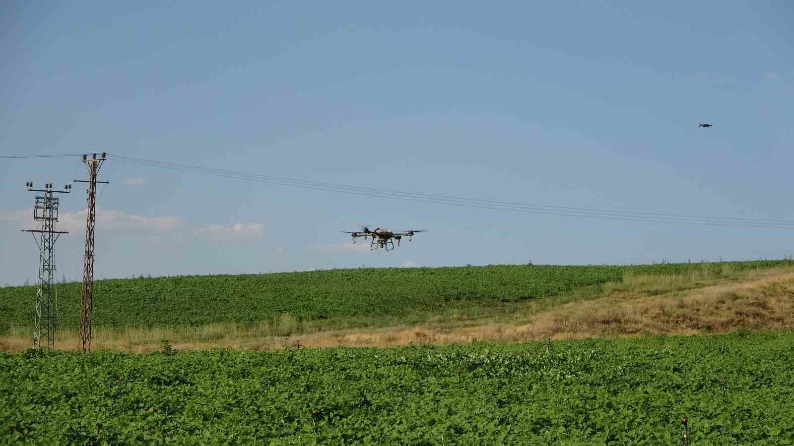 Bitlis’teki çiftçiler tasarruf için ilaçlamayı dronla yapıyor
