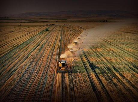 2 yıl üst üste işlenmeyen tarım arazileri kiraya verilecek