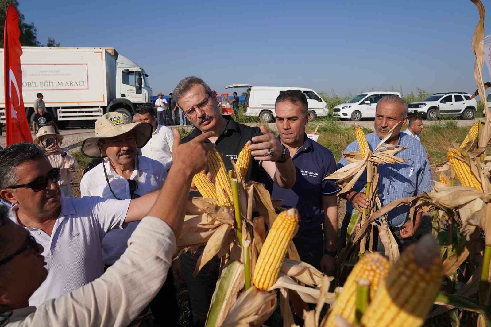 Yerli ve milli mısır çeşidi görücüye çıktı
