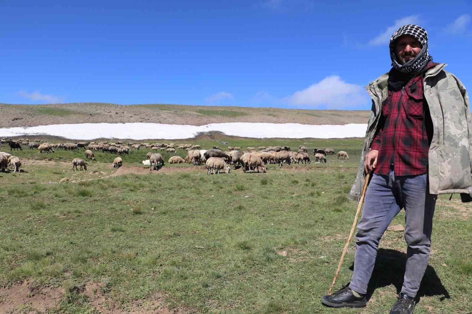 Tarımda örgütlü üretim