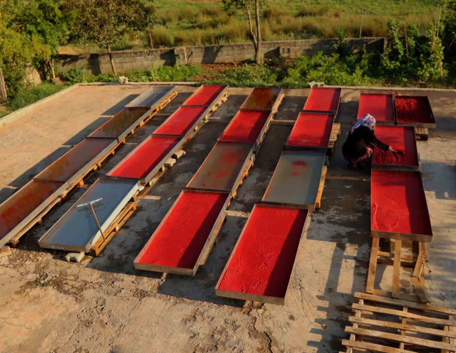 Biber salçası yapma telaşı başladı