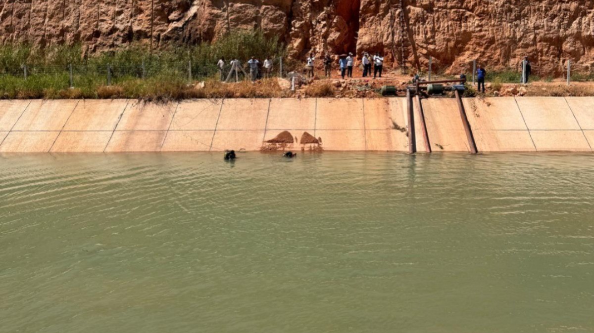 Sulama kanalında aranan kardeşlerin cesetleri bulundu