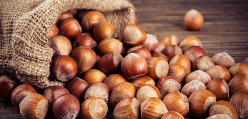 2024/25 dönemi kabuklu fındık alım fiyatları belirlendi