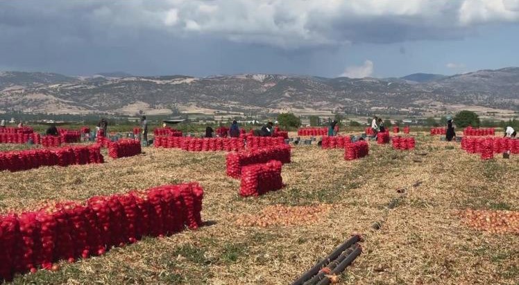 Amasya’da hortumun arasında kalan çocuklar konuştu: “Çok korktuk”