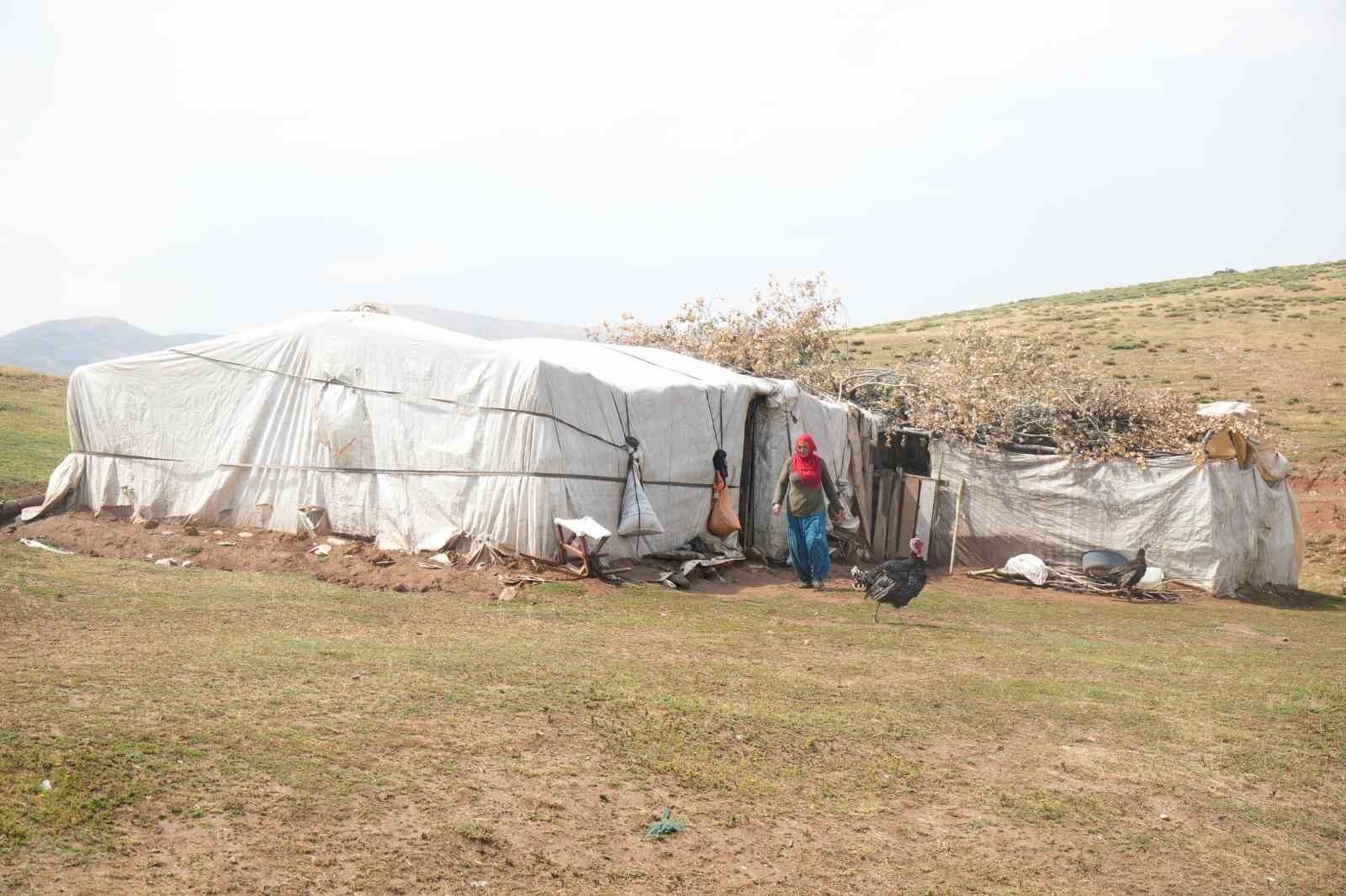 Muş’ta güneşten önce uyanan kadınların zorlu yayla mesaisi devam ediyor