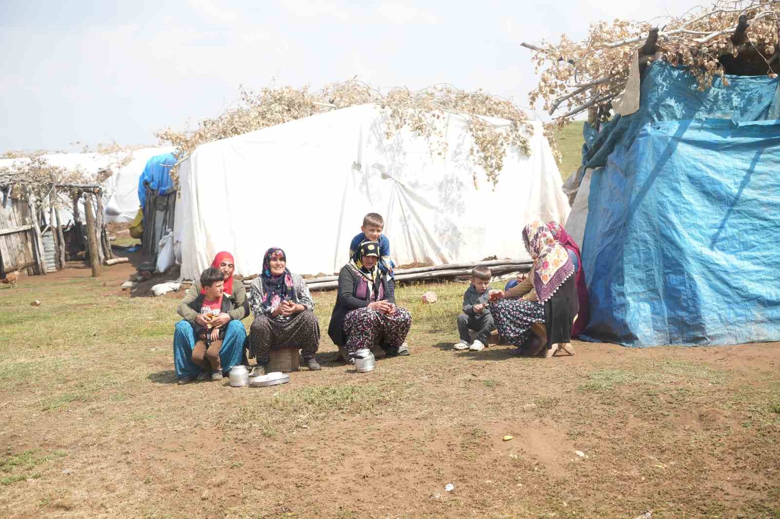 Muş’ta güneşten önce uyanan kadınların zorlu yayla mesaisi devam ediyor